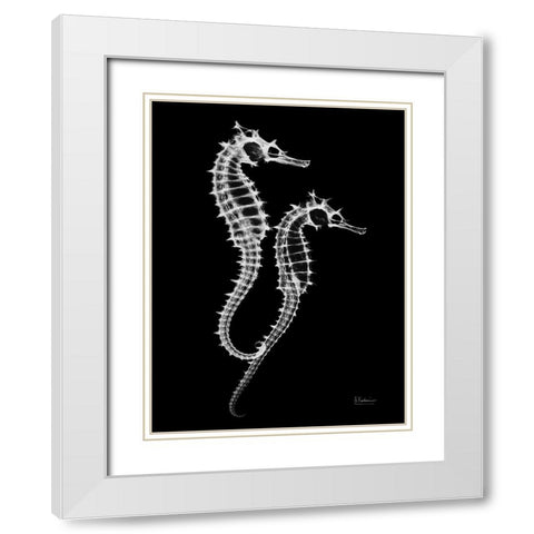 Seahorse Twins on Black White Modern Wood Framed Art Print with Double Matting by Koetsier, Albert