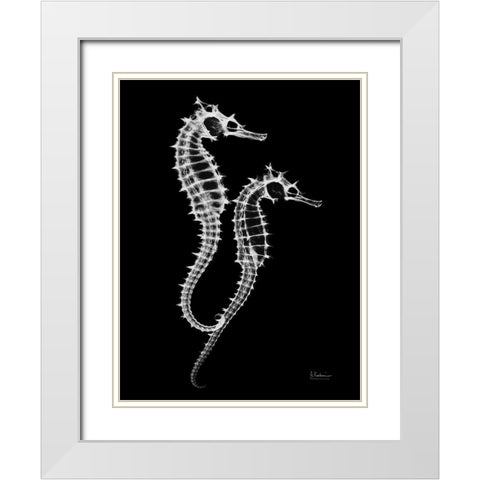 Seahorse Twins on Black White Modern Wood Framed Art Print with Double Matting by Koetsier, Albert