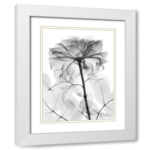 Rose Supreme 1 White Modern Wood Framed Art Print with Double Matting by Koetsier, Albert