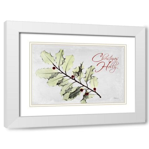 Xmas Holly L297 White Modern Wood Framed Art Print with Double Matting by Koetsier, Albert