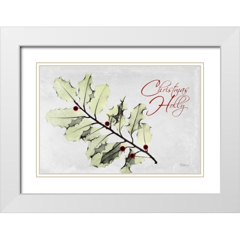 Xmas Holly L297 White Modern Wood Framed Art Print with Double Matting by Koetsier, Albert