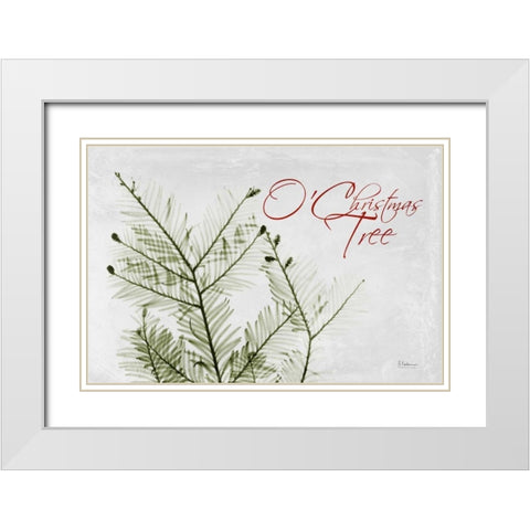 O Christmas Evergreen White Modern Wood Framed Art Print with Double Matting by Koetsier, Albert
