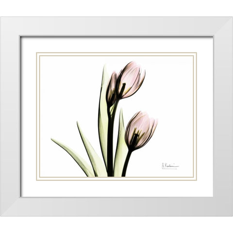 Tulip Love White Modern Wood Framed Art Print with Double Matting by Koetsier, Albert