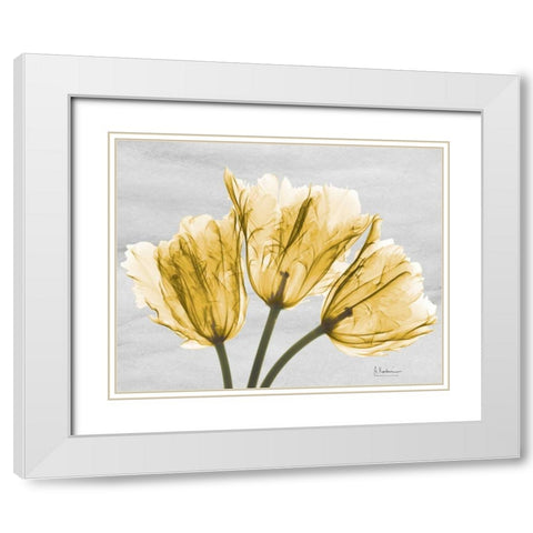 Sunny Trio Tulips White Modern Wood Framed Art Print with Double Matting by Koetsier, Albert
