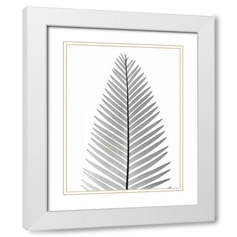 Tropical Fern 2 White Modern Wood Framed Art Print with Double Matting by Koetsier, Albert