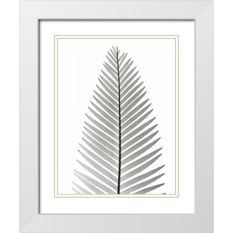 Tropical Fern 2 White Modern Wood Framed Art Print with Double Matting by Koetsier, Albert