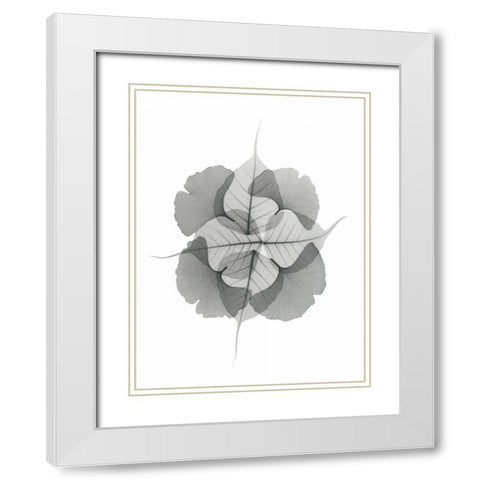 Kaleidoscope Sinko White Modern Wood Framed Art Print with Double Matting by Koetsier, Albert