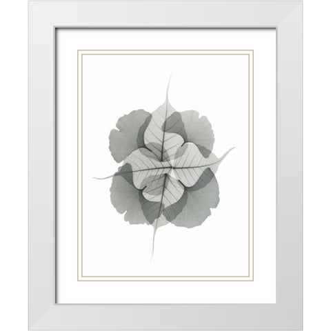 Kaleidoscope Sinko White Modern Wood Framed Art Print with Double Matting by Koetsier, Albert