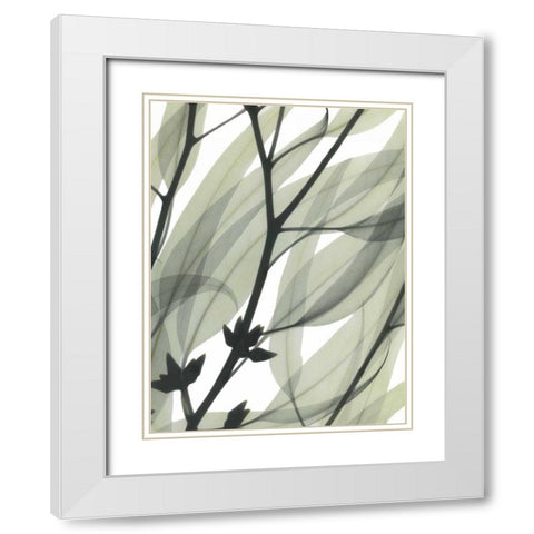 Eucalyptus Safari White Modern Wood Framed Art Print with Double Matting by Koetsier, Albert