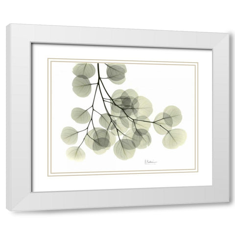 Eucalyptus Sweep White Modern Wood Framed Art Print with Double Matting by Koetsier, Albert