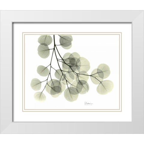 Eucalyptus Sweep White Modern Wood Framed Art Print with Double Matting by Koetsier, Albert