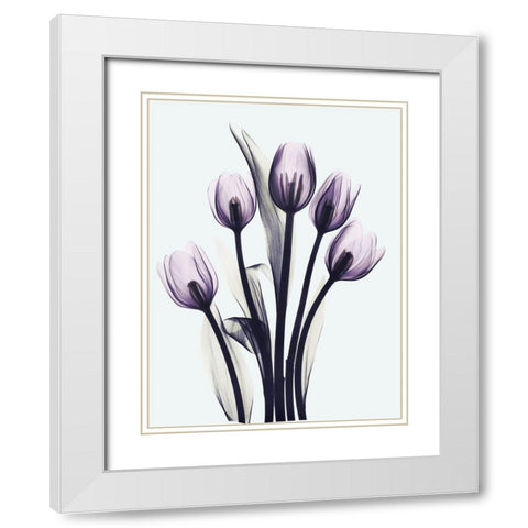 Essentially Tulips White Modern Wood Framed Art Print with Double Matting by Koetsier, Albert