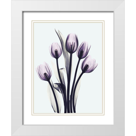 Essentially Tulips White Modern Wood Framed Art Print with Double Matting by Koetsier, Albert