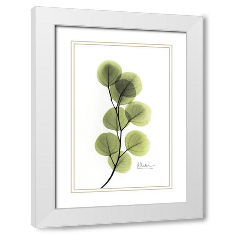 Eucalyptus White Modern Wood Framed Art Print with Double Matting by Koetsier, Albert