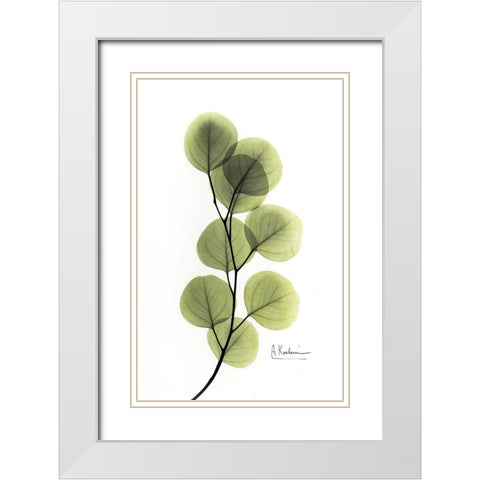 Eucalyptus White Modern Wood Framed Art Print with Double Matting by Koetsier, Albert