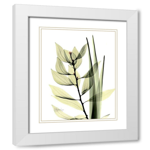 Leaf Composition White Modern Wood Framed Art Print with Double Matting by Koetsier, Albert