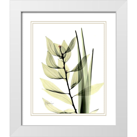 Leaf Composition White Modern Wood Framed Art Print with Double Matting by Koetsier, Albert