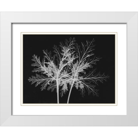 Leaves Seq White Modern Wood Framed Art Print with Double Matting by Koetsier, Albert