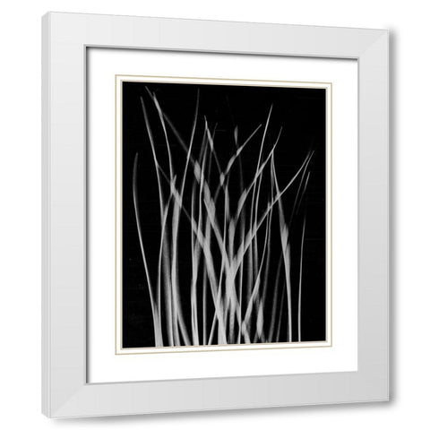Grassy Heaven White Modern Wood Framed Art Print with Double Matting by Koetsier, Albert