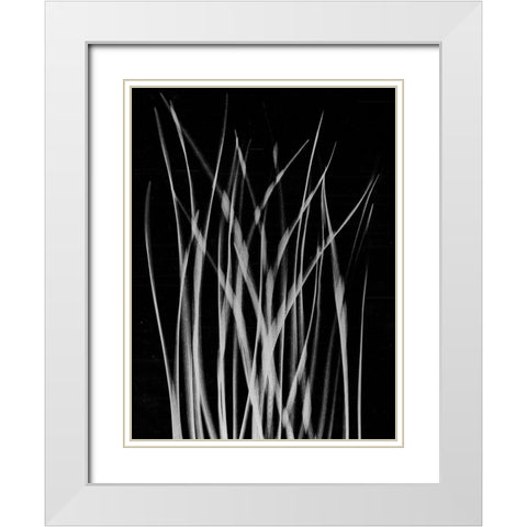 Grassy Heaven White Modern Wood Framed Art Print with Double Matting by Koetsier, Albert