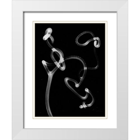 Tendril White Modern Wood Framed Art Print with Double Matting by Koetsier, Albert