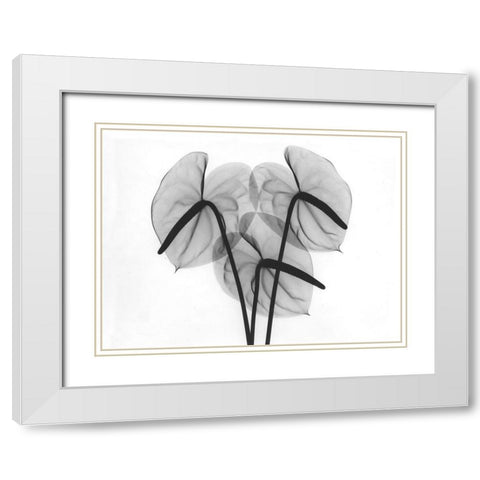 Flamingo 2 White Modern Wood Framed Art Print with Double Matting by Koetsier, Albert