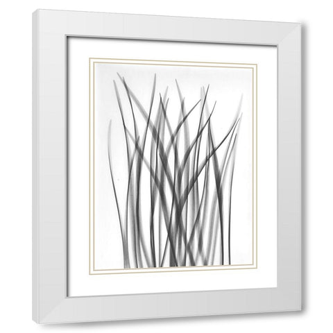 Flower Leaf White Modern Wood Framed Art Print with Double Matting by Koetsier, Albert