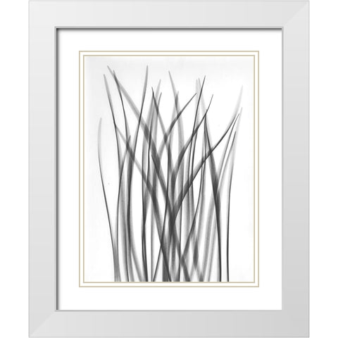 Flower Leaf White Modern Wood Framed Art Print with Double Matting by Koetsier, Albert