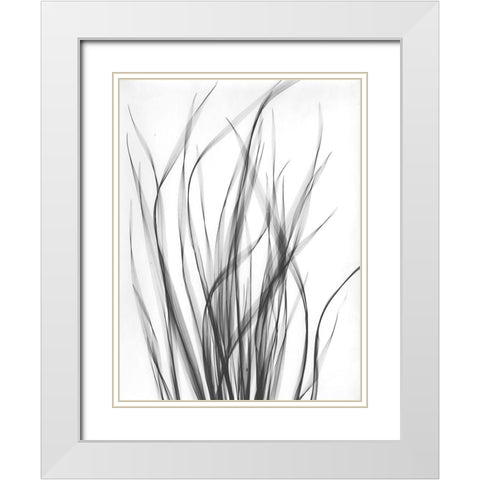 Grass 2 White Modern Wood Framed Art Print with Double Matting by Koetsier, Albert