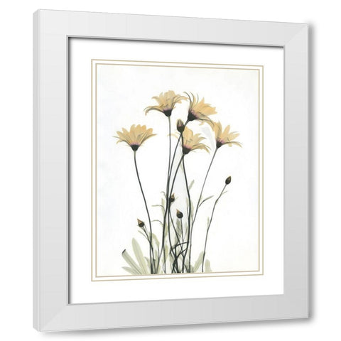 Wild Flowers White Modern Wood Framed Art Print with Double Matting by Koetsier, Albert