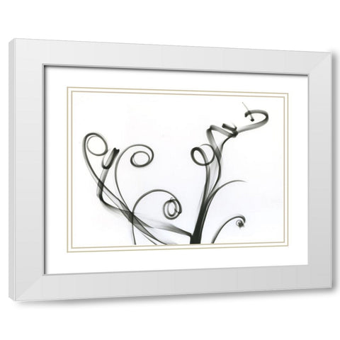 Tillandsia White Modern Wood Framed Art Print with Double Matting by Koetsier, Albert