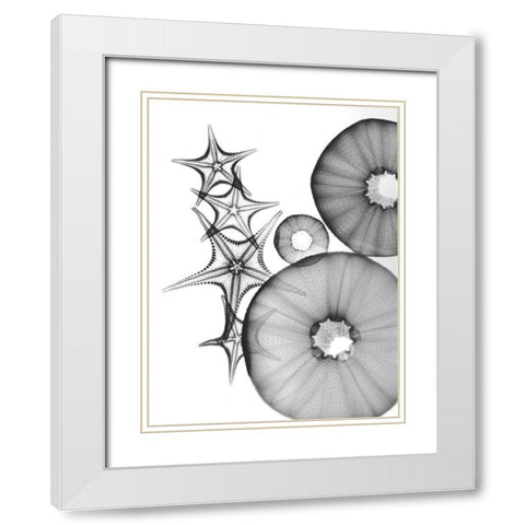 Universe Of Pythagoras White Modern Wood Framed Art Print with Double Matting by Koetsier, Albert