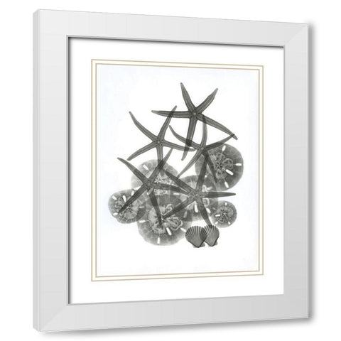 Sea Collection White Modern Wood Framed Art Print with Double Matting by Koetsier, Albert