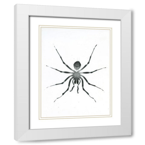 Our Friendly Tarantula White Modern Wood Framed Art Print with Double Matting by Koetsier, Albert