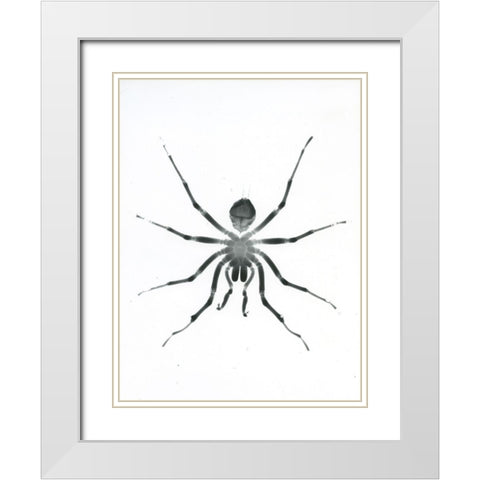 Our Friendly Tarantula White Modern Wood Framed Art Print with Double Matting by Koetsier, Albert