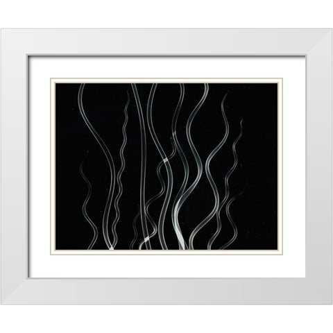 Corkscrew Rush White Modern Wood Framed Art Print with Double Matting by Koetsier, Albert