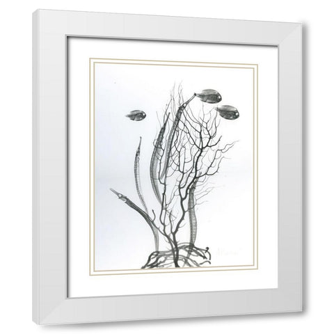 Sea Bottom White Modern Wood Framed Art Print with Double Matting by Koetsier, Albert