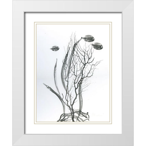 Sea Bottom White Modern Wood Framed Art Print with Double Matting by Koetsier, Albert