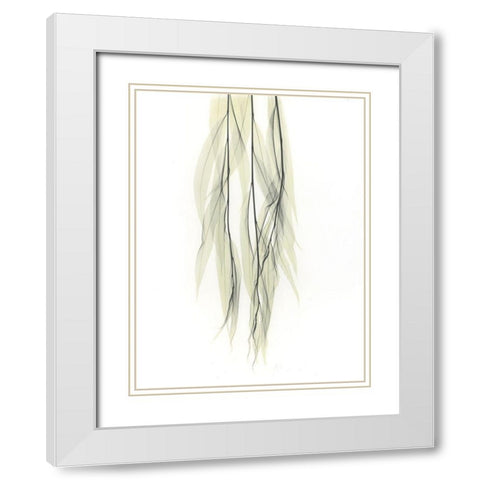 Weeping Willow White Modern Wood Framed Art Print with Double Matting by Koetsier, Albert