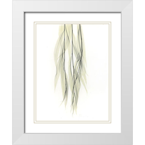 Weeping Willow White Modern Wood Framed Art Print with Double Matting by Koetsier, Albert