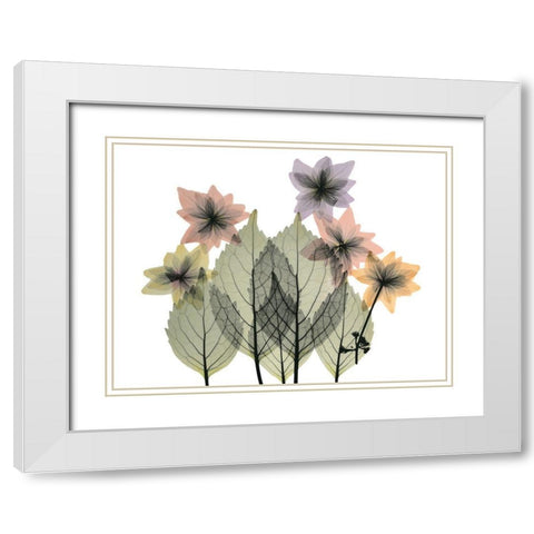 Hiding Lovelies White Modern Wood Framed Art Print with Double Matting by Koetsier, Albert