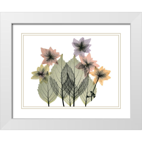 Hiding Lovelies White Modern Wood Framed Art Print with Double Matting by Koetsier, Albert