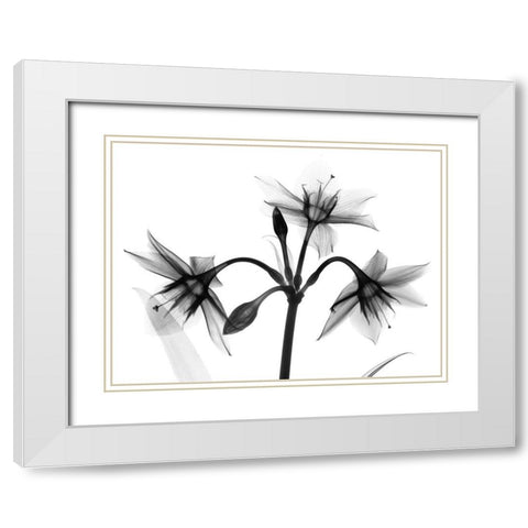 Sadened Trio White Modern Wood Framed Art Print with Double Matting by Koetsier, Albert