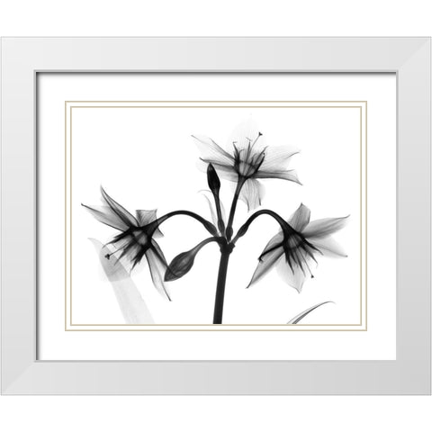 Sadened Trio White Modern Wood Framed Art Print with Double Matting by Koetsier, Albert