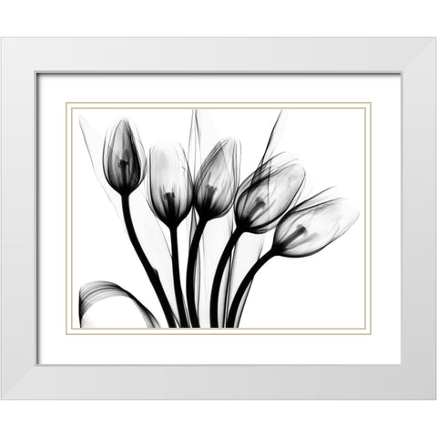 Marching Tulips White Modern Wood Framed Art Print with Double Matting by Koetsier, Albert