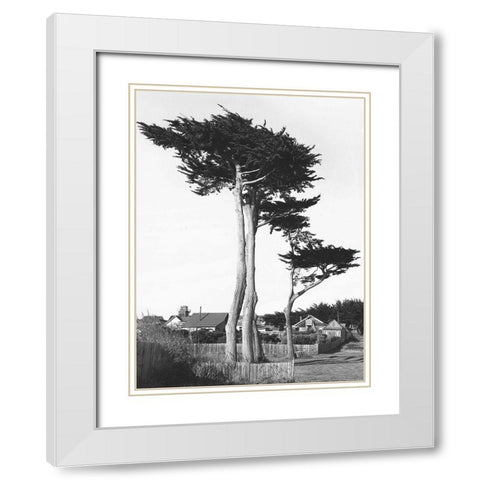 Looking Over White Modern Wood Framed Art Print with Double Matting by Koetsier, Albert