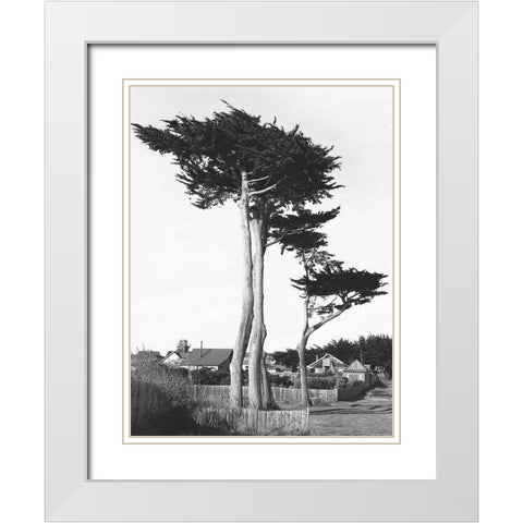 Looking Over White Modern Wood Framed Art Print with Double Matting by Koetsier, Albert