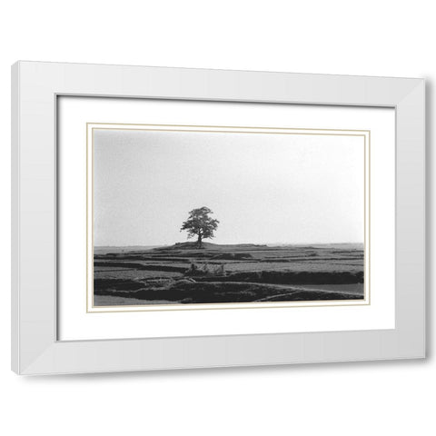 Lonely Field White Modern Wood Framed Art Print with Double Matting by Koetsier, Albert