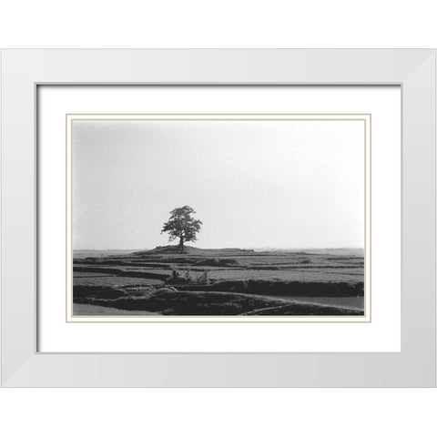 Lonely Field White Modern Wood Framed Art Print with Double Matting by Koetsier, Albert