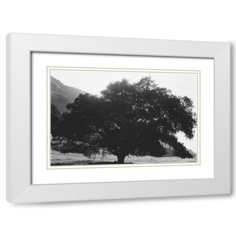 Bush Breeze White Modern Wood Framed Art Print with Double Matting by Koetsier, Albert